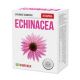 Echinacea