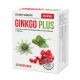 Ginkgo Plus