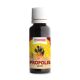 Propolis Glicolic picaturi 30 ml