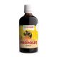 Propolis picaturi 100 ml